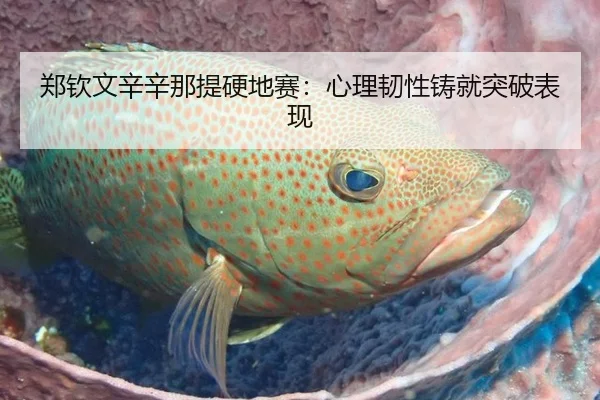 郑钦文辛辛那提硬地赛：心理韧性铸就突破表现