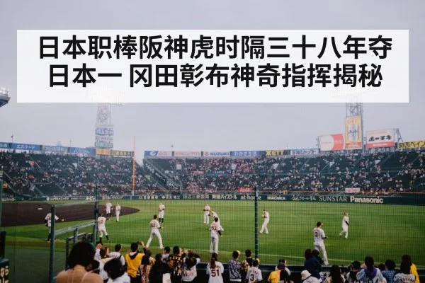 日本职棒阪神虎时隔三十八年夺日本一 冈田彰布神奇指挥揭秘